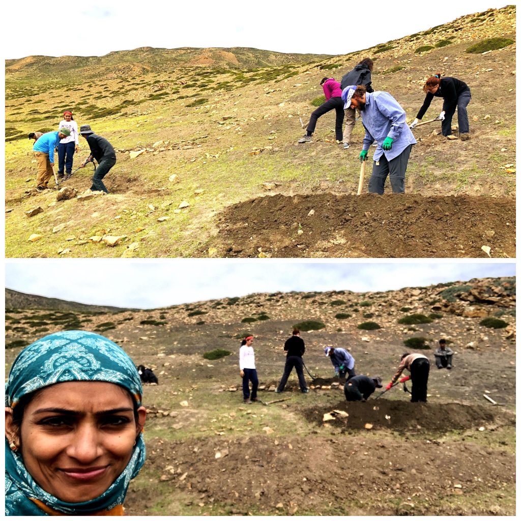 volunteering, spiti, trenches, travel